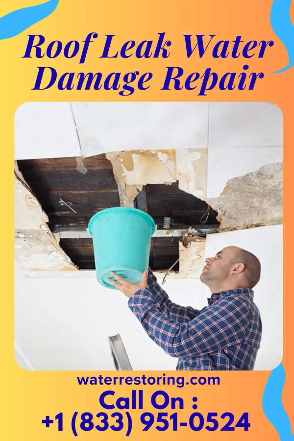 Roof Leak Water Damage Repair in Flandreau, SD
