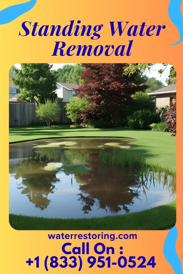 Standing Water Removal in Flandreau, SD
